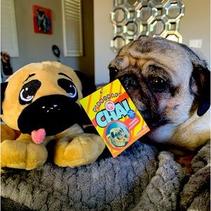 CHAI PIBBORAFI PLUSHIE!!!